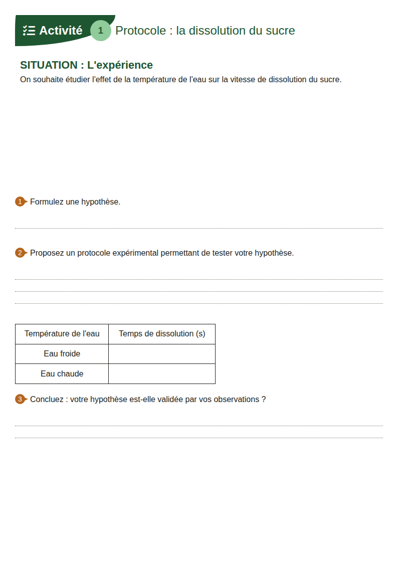Aperçu du modèle « Protocole expérimental — La dissolution »